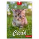 Cicák B4 falinaptár \CI-B4\